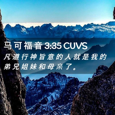 Picture 02 - 马 可 福 音 3:35 CUVS - 凡 遵 行 神 旨 意 的 人 就 是 我 的 - Bible Verse Picture