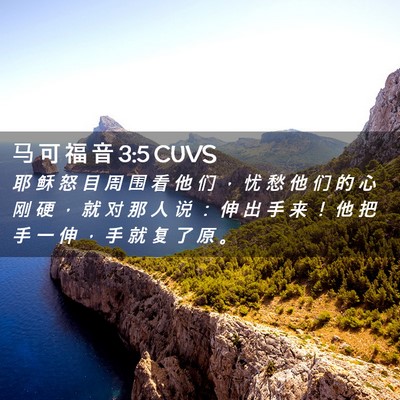 Picture 02 - 马 可 福 音 3:5 CUVS - 耶 稣 怒 目 周 围 看 他 们 ， 忧 愁 - Bible Verse Picture