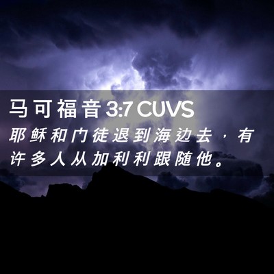 Picture 02 - 马 可 福 音 3:7 CUVS - 耶 稣 和 门 徒 退 到 海 边 去 ， 有 - Bible Verse Picture