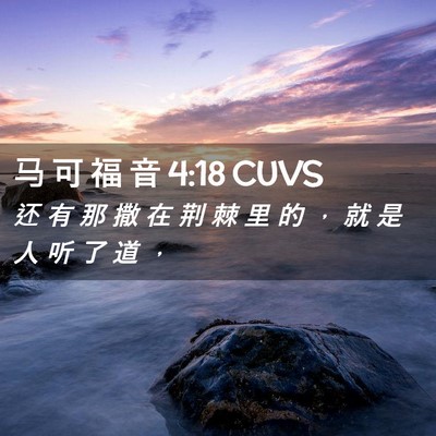 Picture 02 - 马 可 福 音 4:18 CUVS - 还 有 那 撒 在 荆 棘 里 的 ， 就 是 - Bible Verse Picture