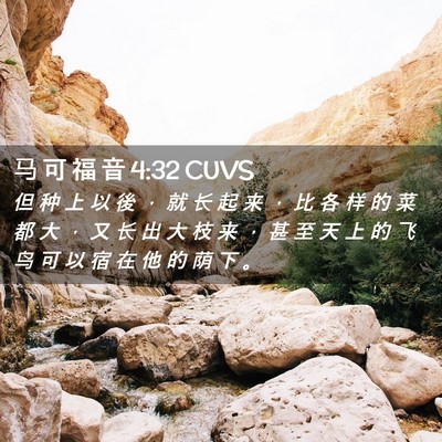Picture 02 - 马 可 福 音 4:32 CUVS - 但 种 上 以 後 ， 就 长 起 来 ， 比 - Bible Verse Picture
