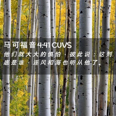 Picture 02 - 马 可 福 音 4:41 CUVS - 他 们 就 大 大 的 惧 怕 ， 彼 此 说 - Bible Verse Picture