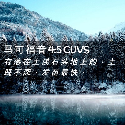 Picture 02 - 马 可 福 音 4:5 CUVS - 有 落 在 土 浅 石 头 地 上 的 ， 土 - Bible Verse Picture