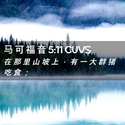 Picture 02 - 马 可 福 音 5:11 CUVS - 在 那 里 山 坡 上 ， 有 一 大 群 猪 - Bible Verse Picture