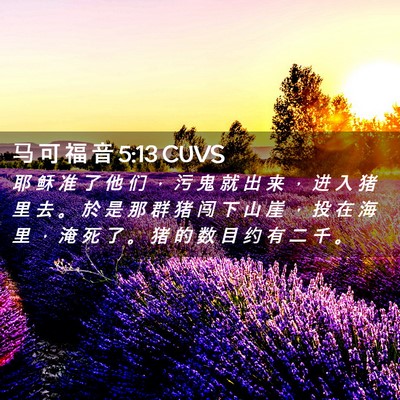 Picture 02 - 马 可 福 音 5:13 CUVS - 耶 稣 准 了 他 们 ， 污 鬼 就 出 来 - Bible Verse Picture