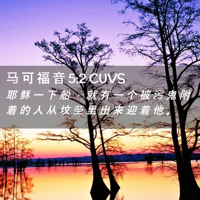 Picture 02 - 马 可 福 音 5:2 CUVS - 耶 稣 一 下 船 ， 就 有 一 个 被 污 - Bible Verse Picture