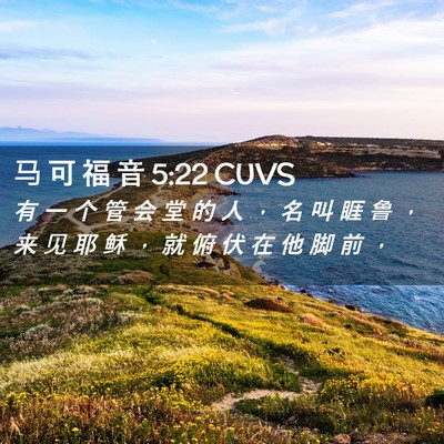 Picture 02 - 马 可 福 音 5:22 CUVS - 有 一 个 管 会 堂 的 人 ， 名 叫 睚 - Bible Verse Picture