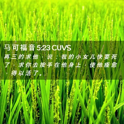 Picture 02 - 马 可 福 音 5:23 CUVS - 再 三 的 求 他 ， 说 ： 我 的 小 女 - Bible Verse Picture