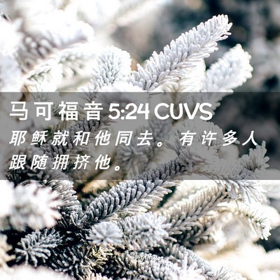 Picture 02 - 马 可 福 音 5:24 CUVS - 耶 稣 就 和 他 同 去 。 有 许 多 人 - Bible Verse Picture