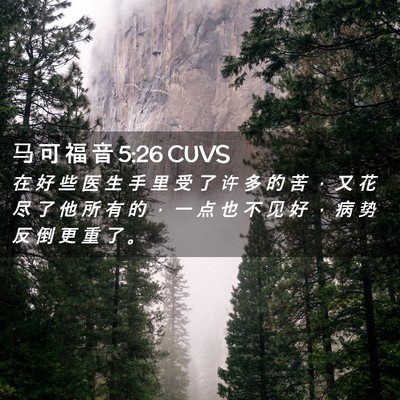 Picture 02 - 马 可 福 音 5:26 CUVS - 在 好 些 医 生 手 里 受 了 许 多 的 - Bible Verse Picture