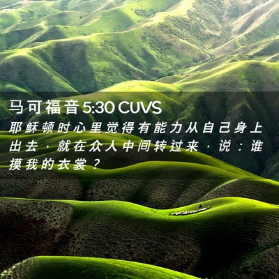 Picture 02 - 马 可 福 音 5:30 CUVS - 耶 稣 顿 时 心 里 觉 得 有 能 力 从 - Bible Verse Picture