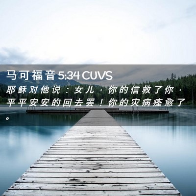 Picture 02 - 马 可 福 音 5:34 CUVS - 耶 稣 对 他 说 ： 女 儿 ， 你 的 信 - Bible Verse Picture