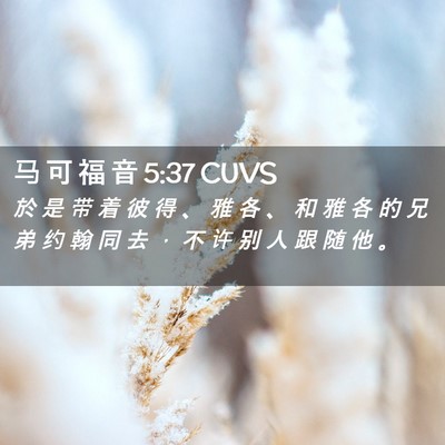 Picture 02 - 马 可 福 音 5:37 CUVS - 於 是 带 着 彼 得 、 雅 各 、 和 雅 - Bible Verse Picture