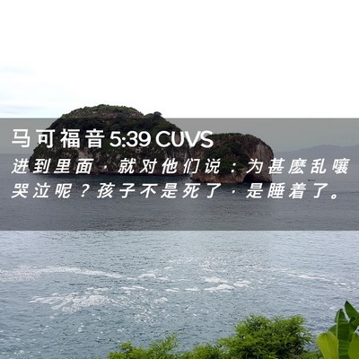 Picture 02 - 马 可 福 音 5:39 CUVS - 进 到 里 面 ， 就 对 他 们 说 ： 为 - Bible Verse Picture