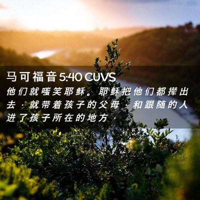 Picture 02 - 马 可 福 音 5:40 CUVS - 他 们 就 嗤 笑 耶 稣 。 耶 稣 把 他 - Bible Verse Picture