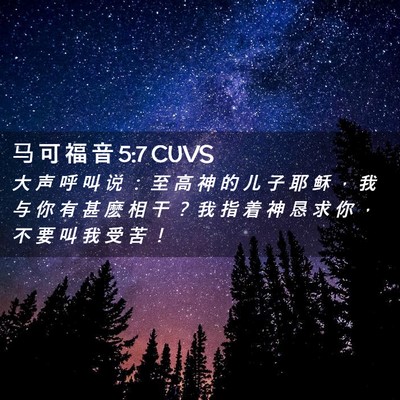 Picture 02 - 马 可 福 音 5:7 CUVS - 大 声 呼 叫 说 ： 至 高 神 的 儿 子 - Bible Verse Picture