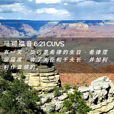 Picture 02 - 马 可 福 音 6:21 CUVS - 有 一 天 ， 恰 巧 是 希 律 的 生 日 - Bible Verse Picture