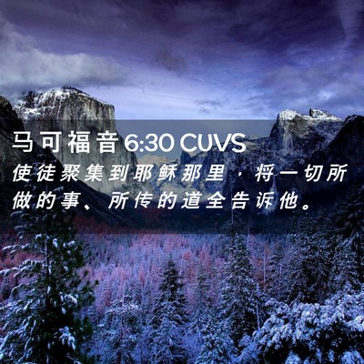 Picture 02 - 马 可 福 音 6:30 CUVS - 使 徒 聚 集 到 耶 稣 那 里 ， 将 一 - Bible Verse Picture