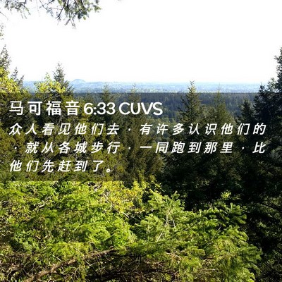 Picture 02 - 马 可 福 音 6:33 CUVS - 众 人 看 见 他 们 去 ， 有 许 多 认 - Bible Verse Picture