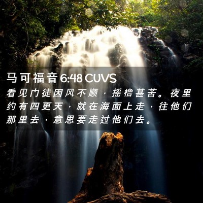 Picture 02 - 马 可 福 音 6:48 CUVS - 看 见 门 徒 因 风 不 顺 ， 摇 橹 甚 - Bible Verse Picture