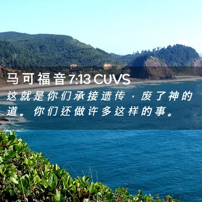 Picture 02 - 马 可 福 音 7:13 CUVS - 这 就 是 你 们 承 接 遗 传 ， 废 了 - Bible Verse Picture