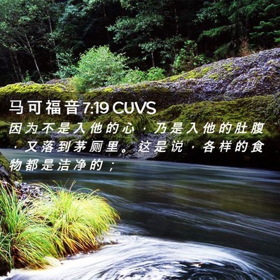 Picture 02 - 马 可 福 音 7:19 CUVS - 因 为 不 是 入 他 的 心 ， 乃 是 入 - Bible Verse Picture