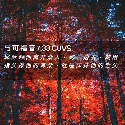 Picture 02 - 马 可 福 音 7:33 CUVS - 耶 稣 领 他 离 开 众 人 ， 到 一 边 - Bible Verse Picture