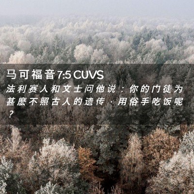 Picture 02 - 马 可 福 音 7:5 CUVS - 法 利 赛 人 和 文 士 问 他 说 ： 你 - Bible Verse Picture
