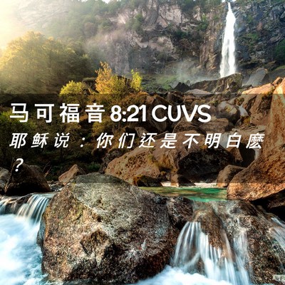 Picture 02 - 马 可 福 音 8:21 CUVS - 耶 稣 说 ： 你 们 还 是 不 明 白 麽 - Bible Verse Picture