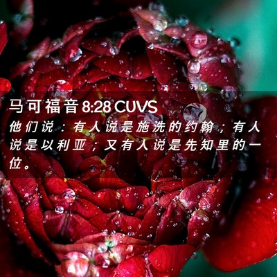 Picture 02 - 马 可 福 音 8:28 CUVS - 他 们 说 ： 有 人 说 是 施 洗 的 约 - Bible Verse Picture