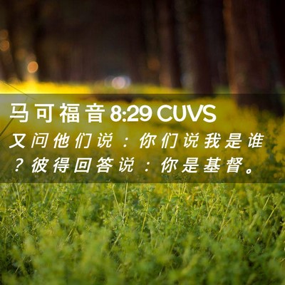 Picture 02 - 马 可 福 音 8:29 CUVS - 又 问 他 们 说 ： 你 们 说 我 是 谁 - Bible Verse Picture