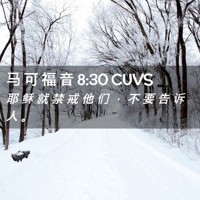 Picture 02 - 马 可 福 音 8:30 CUVS - 耶 稣 就 禁 戒 他 们 ， 不 要 告 诉 - Bible Verse Picture