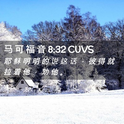Picture 02 - 马 可 福 音 8:32 CUVS - 耶 稣 明 明 的 说 这 话 ， 彼 得 就 - Bible Verse Picture