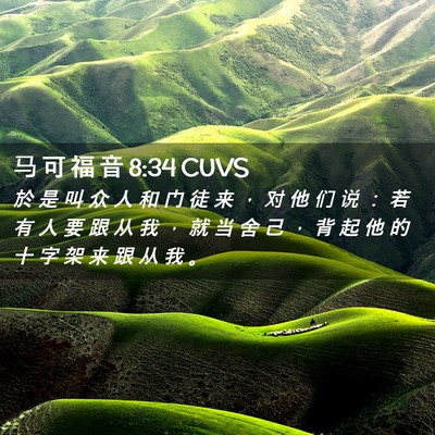 Picture 02 - 马 可 福 音 8:34 CUVS - 於 是 叫 众 人 和 门 徒 来 ， 对 他 - Bible Verse Picture