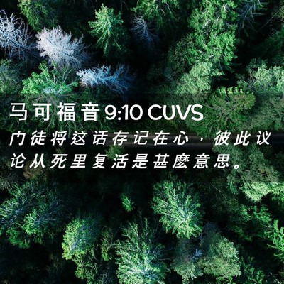 Picture 02 - 马 可 福 音 9:10 CUVS - 门 徒 将 这 话 存 记 在 心 ， 彼 此 - Bible Verse Picture