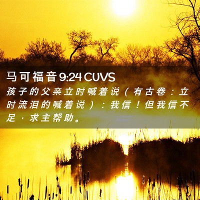 Picture 02 - 马 可 福 音 9:24 CUVS - 孩 子 的 父 亲 立 时 喊 着 说 （ 有 - Bible Verse Picture