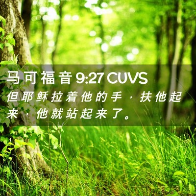 Picture 02 - 马 可 福 音 9:27 CUVS - 但 耶 稣 拉 着 他 的 手 ， 扶 他 起 - Bible Verse Picture