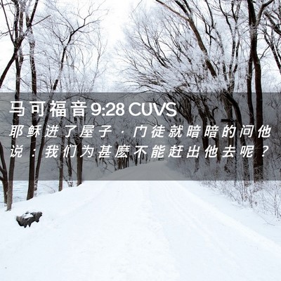 Picture 02 - 马 可 福 音 9:28 CUVS - 耶 稣 进 了 屋 子 ， 门 徒 就 暗 暗 - Bible Verse Picture