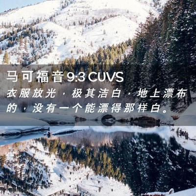 Picture 02 - 马 可 福 音 9:3 CUVS - 衣 服 放 光 ， 极 其 洁 白 ， 地 上 - Bible Verse Picture