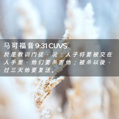 Picture 02 - 马 可 福 音 9:31 CUVS - 於 是 教 训 门 徒 ， 说 ： 人 子 将 - Bible Verse Picture