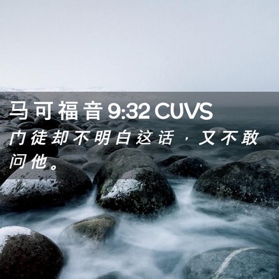 Picture 02 - 马 可 福 音 9:32 CUVS - 门 徒 却 不 明 白 这 话 ， 又 不 敢 - Bible Verse Picture