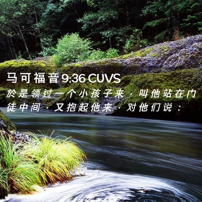Picture 02 - 马 可 福 音 9:36 CUVS - 於 是 领 过 一 个 小 孩 子 来 ， 叫 - Bible Verse Picture