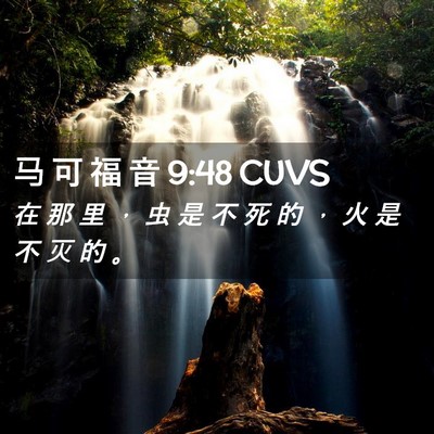 Picture 02 - 马 可 福 音 9:48 CUVS - 在 那 里 ， 虫 是 不 死 的 ， 火 是 - Bible Verse Picture