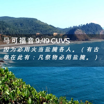 Picture 02 - 马 可 福 音 9:49 CUVS - 因 为 必 用 火 当 盐 腌 各 人 。 （ - Bible Verse Picture