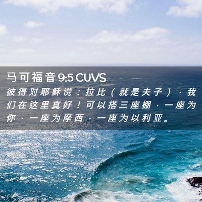 Picture 02 - 马 可 福 音 9:5 CUVS - 彼 得 对 耶 稣 说 ： 拉 比 （ 就 是 - Bible Verse Picture