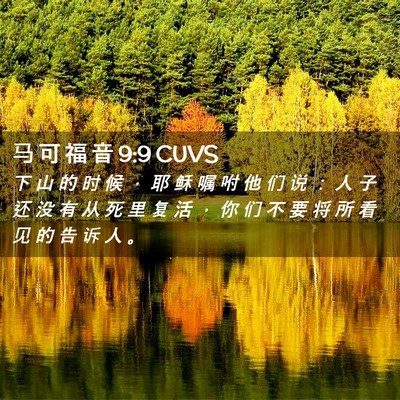 Picture 02 - 马 可 福 音 9:9 CUVS - 下 山 的 时 候 ， 耶 稣 嘱 咐 他 们 - Bible Verse Picture