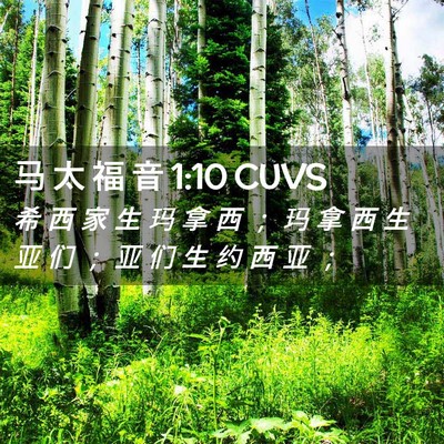 Picture 02 - 马 太 福 音 1:10 CUVS - 希 西 家 生 玛 拿 西 ； 玛 拿 西 生 - Bible Verse Picture