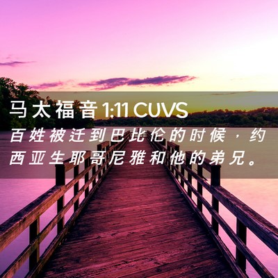 Picture 02 - 马 太 福 音 1:11 CUVS - 百 姓 被 迁 到 巴 比 伦 的 时 候 ， - Bible Verse Picture