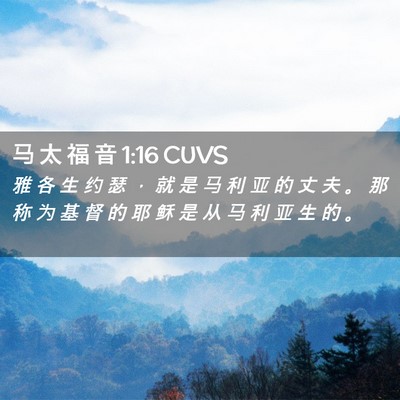Picture 02 - 马 太 福 音 1:16 CUVS - 雅 各 生 约 瑟 ， 就 是 马 利 亚 的 - Bible Verse Picture