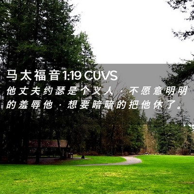 Picture 02 - 马 太 福 音 1:19 CUVS - 他 丈 夫 约 瑟 是 个 义 人 ， 不 愿 - Bible Verse Picture